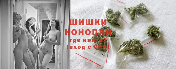 ПСИЛОЦИБИНОВЫЕ ГРИБЫ Михайлов