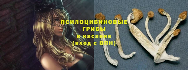 ГАЛЛЮЦИНОГЕННЫЕ ГРИБЫ Михайловка