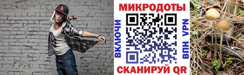 Псилоцибиновые грибы Psilocybe  Сосновка 